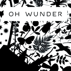 Oh Wunder